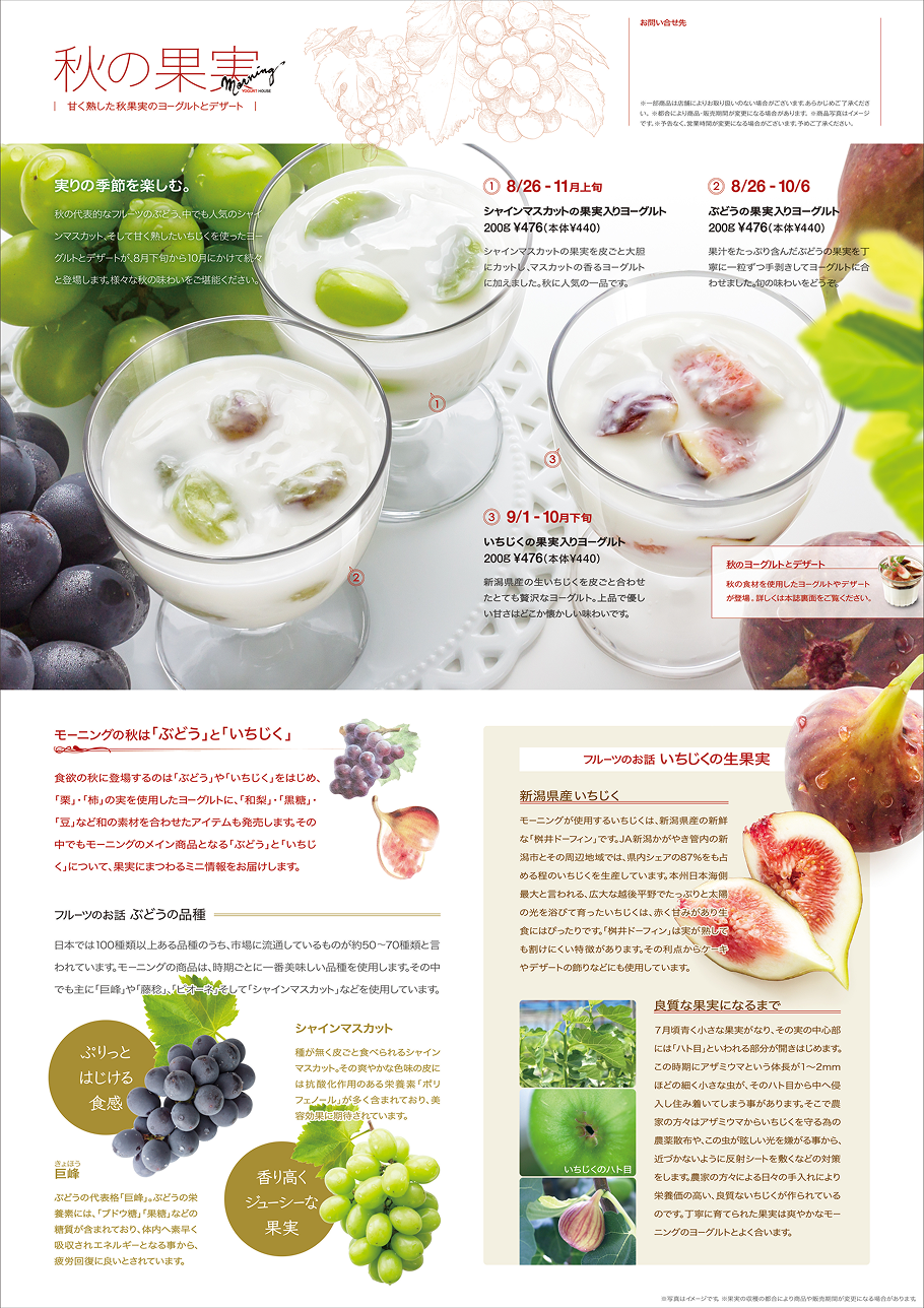 秋のリーフレット 表