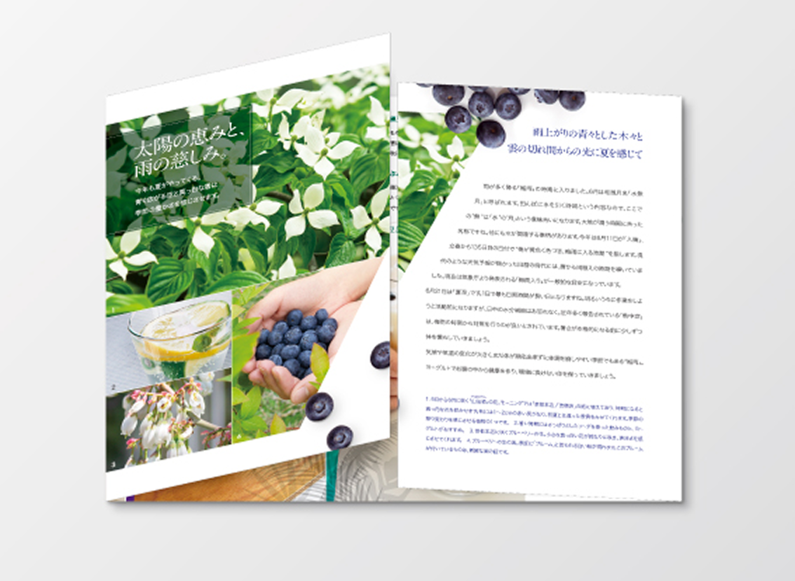 頒布会DM見開き